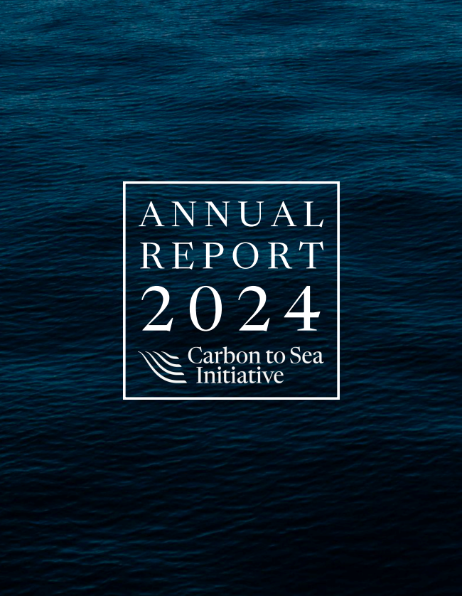 2024 Annual Report cover